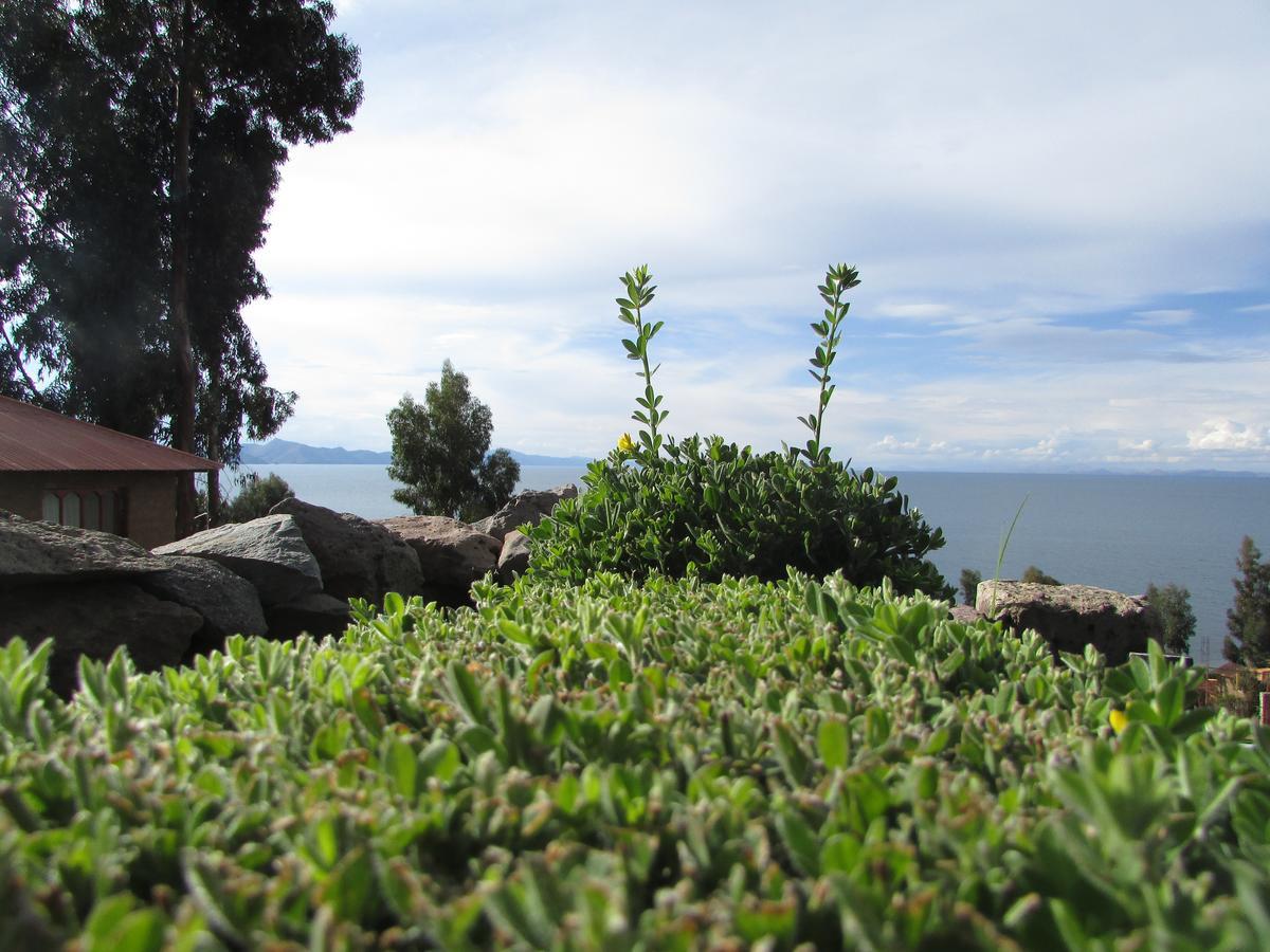 Titicaca Chaska Wasi Amantani ξενώνας Isla Amantani Εξωτερικό φωτογραφία